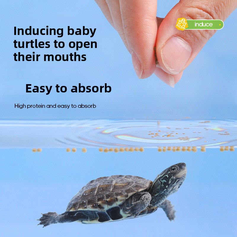 Fulepets High Protein Baby Tur - Baby Food High In Protein ulasan dan harga