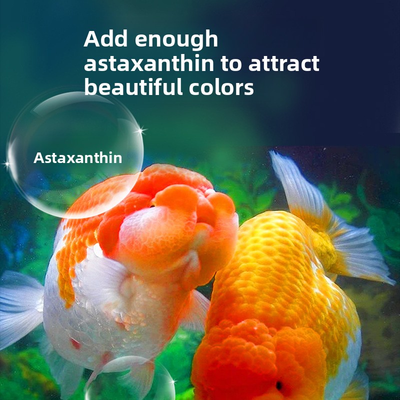 Fish Baby Sinking Goldfish Foo - Baby Food High In Protein ulasan dan harga