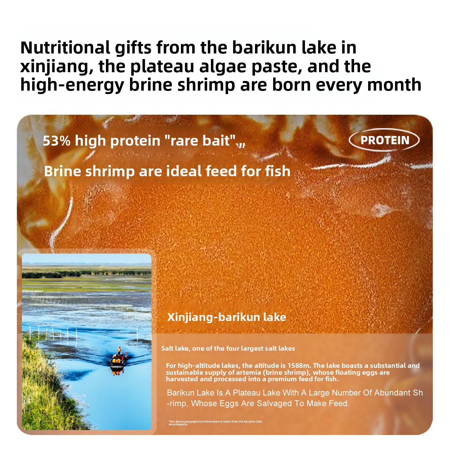 SANKii Decapsulated Brine Shri - Baby Food High In Protein ulasan dan harga