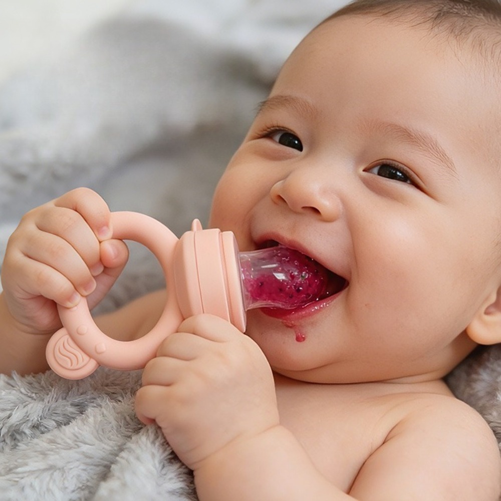 Baby Fruit Feeder Vegetable Te - Baby Food For 6 Months ulasan dan harga