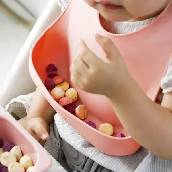 Food Grade Silicone Child Dish - Baby Food Guide ulasan dan harga