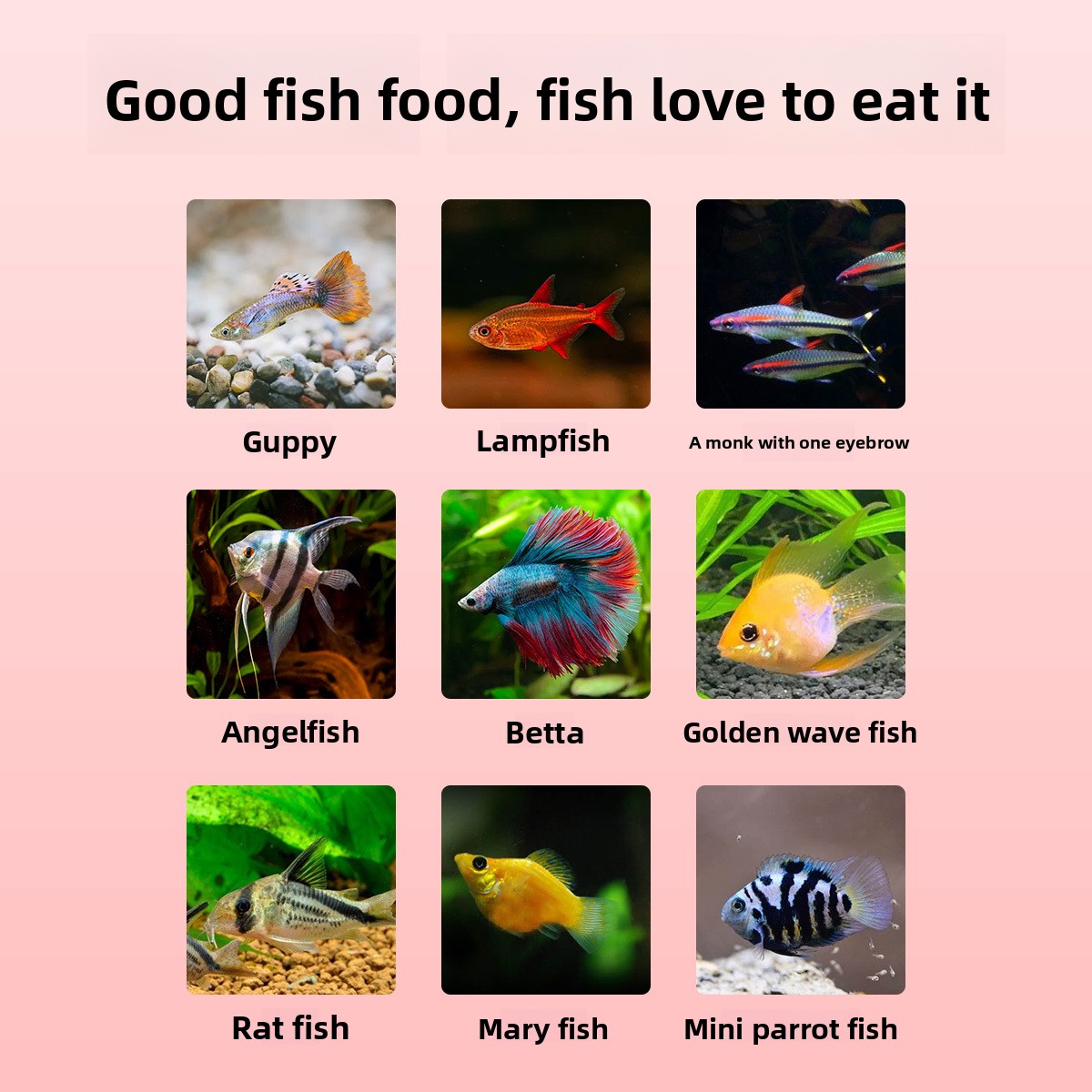 DINGZU Tropical Nano Fish Food - Baby Food High In Protein ulasan dan harga